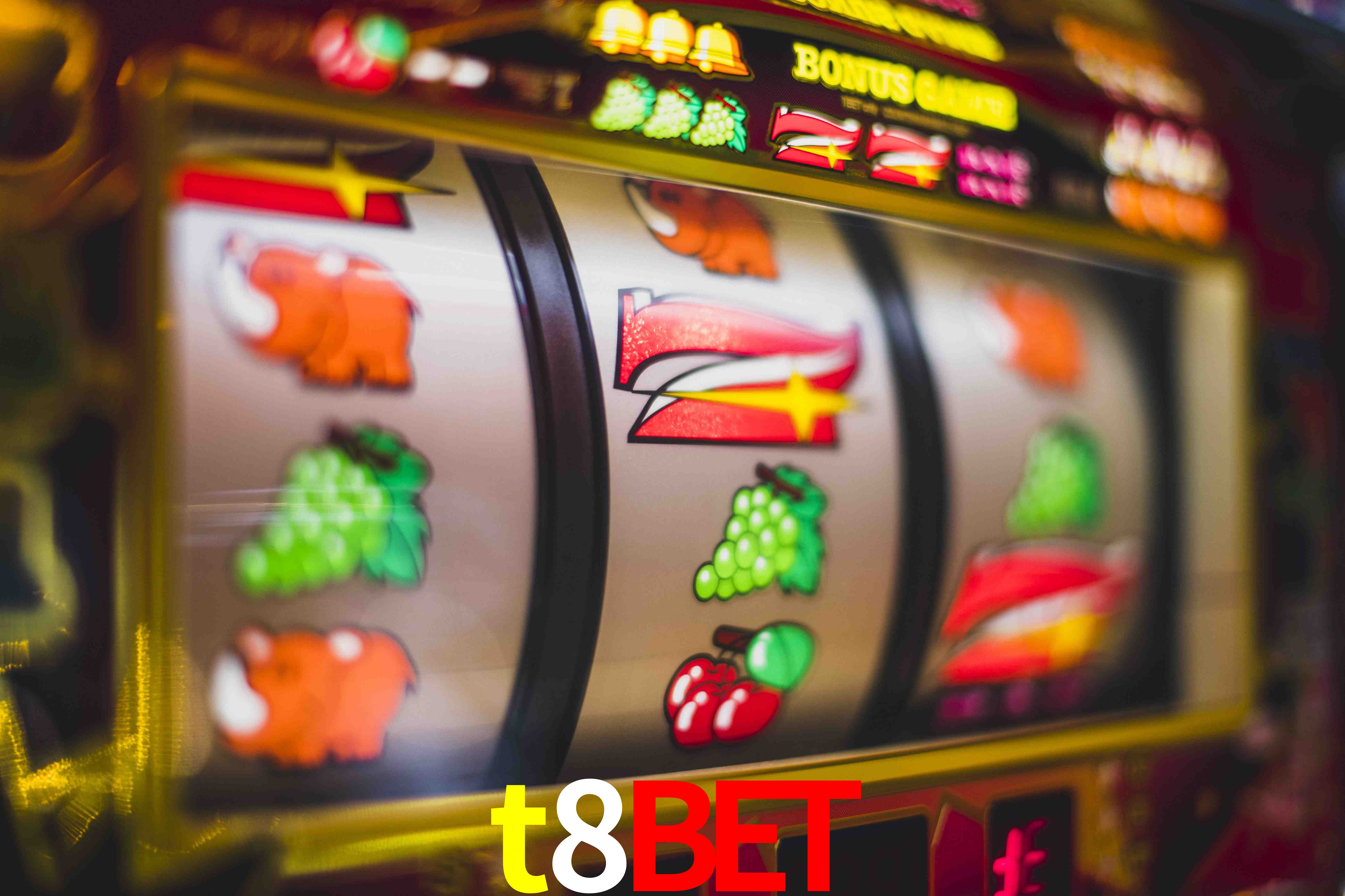 Tennis Betting t8bet